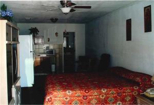 哈瓦苏湖城哈法苏旅馆&套房酒店的一间卧室配有一张床和吊扇