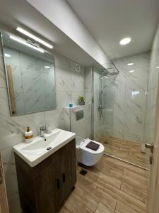 雅典Academy's Modern Apartments By Aesthetic & Luxurious Living的一间带水槽、卫生间和淋浴的浴室