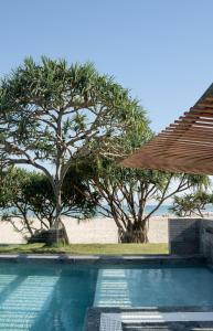 努萨角Netanya Noosa Beachfront Resort的树木繁茂的海滩前的游泳池