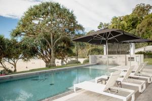努萨角Netanya Noosa Beachfront Resort的一个带椅子和遮阳伞的游泳池
