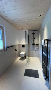 贝旺Quartier Severin的一间带卫生间和玻璃淋浴间的浴室