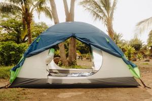 卡胡卢伊Roadtrip Camping on Maui的树前的帐篷