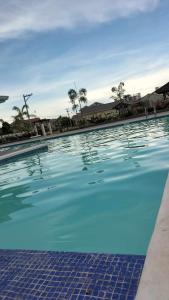 道伊斯G Hotel的一座拥有蓝色海水和棕榈树的游泳池