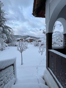 VrtovacSentina kuća的一座有房子和树的雪地覆盖的院子