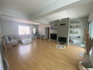 SelíniaSelini apartment的带沙发和硬木地板的客厅
