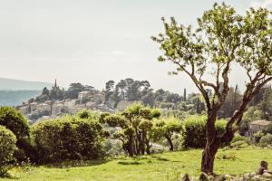 博尼约Capelongue, a Beaumier hotel & Spa的一片树木繁茂的田野,一个村庄的背景