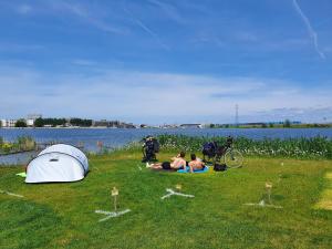阿姆斯特丹Camping Zeeburg Amsterdam的一群人躺在帐篷旁边的草上