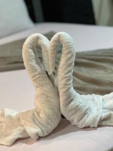 开罗Comfort Sphinx Inn的两条毛巾,形状像天鹅,坐在床上