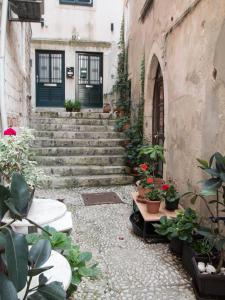 杜布罗夫尼克Ella la Bella III Dubrovnik Old town的楼前有楼梯和盆栽的小巷