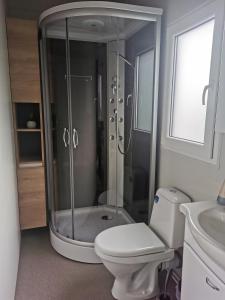 GradacBig Berry Kolpa- King mobile house的带淋浴、卫生间和盥洗盆的浴室
