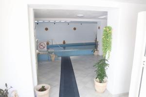 伊斯基亚赛索塔酒店的走廊上,有两盆植物