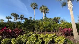 奥兰多阿凡提棕榈度假酒店的种有棕榈树和鲜花的花园