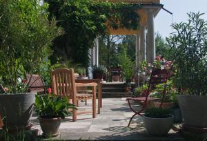 StruppenÖkopension Villa Weissig的庭院设有椅子和盆栽植物