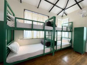 马迪凯里ABODE Backpacker's Hostel的双层床间 - 带两张双层床