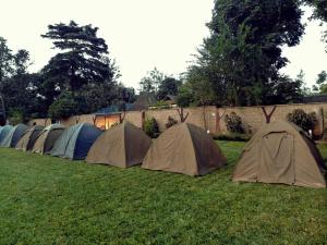 TuvailaCharming Eco-Campsite near Kilimanjaro International Airport的草上一排帐篷