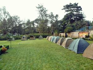 TuvailaCharming Eco-Campsite near Kilimanjaro International Airport的排在草地上的帐篷