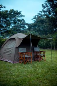 TuvailaCharming Eco-Campsite near Kilimanjaro International Airport的两把椅子和草棚