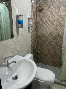 第比利斯Hotel Skib的一间带水槽、卫生间和淋浴的浴室