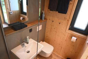 奥斯特罗德Green Tiny Village Harz - Tiny House Nature 13的一间带水槽和卫生间的浴室