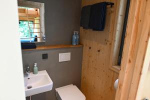 奥斯特罗德Green Tiny Village Harz - Tiny House Nature 15的浴室配有白色卫生间和盥洗盆。