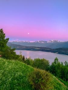 Birdbox Hjellaakeren的享有带雪覆盖山脉的湖泊美景。