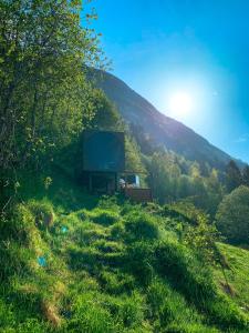 Birdbox Hjellaakeren的山上的草地上坐着电视