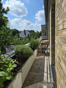 汉堡ruhige Wohnung in Hamburg-Ottensen的建筑一侧种植植物的阳台