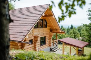 CiceuLog Cabin Piricske的小木屋设有金属屋顶和野餐桌