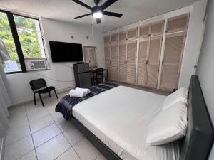巴拿马城Habitación céntrica y espaciosa con A/A的一间卧室配有一张床和一台平面电视
