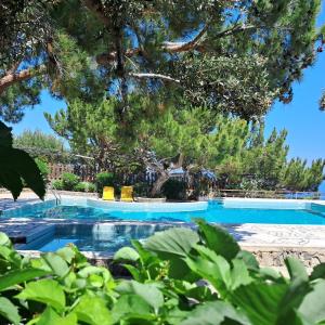 阿依弗西亚费尔马索拉里斯公寓的一座绿树成荫的游泳池