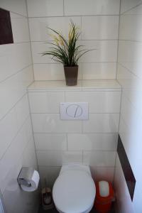 ZarrentinAppartements am Schaalsee的浴室设有卫生间,架子上种植了植物