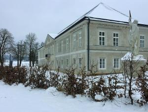 DobrohořZámek Dobrohoř的雪中建有鸟雕像的建筑