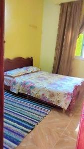 塔扎Gîte Dayet Chiker的一间卧室配有一张床和地毯