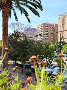 Valencia Homestay Rooms平面图