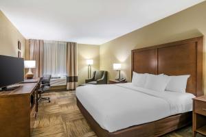 锡代利亚锡代利亚站康福特茵酒店的酒店客房设有一张大床和一张书桌。