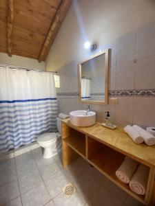 圣何塞德迈波Cabañas Parque Almendro的一间带水槽、卫生间和镜子的浴室
