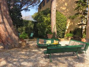 卡尔奇Villa Coli的一组绿色长椅,坐在树旁