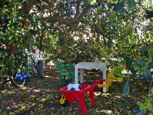 卡尔奇Villa Coli的一组椅子坐在树下