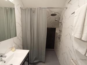 克拉科夫Aparthotel Kontrast的带淋浴和盥洗盆的浴室