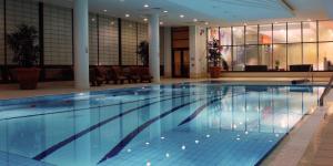 韦克斯福德克莱顿怀特酒店的大楼内的大型游泳池