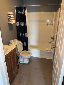 汉普顿12 Ashworth Ave suites的浴室配有卫生间、盥洗盆和淋浴。