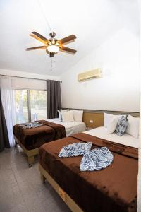 雪松山Buena Vista Oceanfront & Hot Springs Resort的一间卧室配有两张床和吊扇