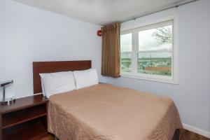 汉普顿玛格丽特汽车旅馆的一间卧室配有一张带书桌的床和窗户。
