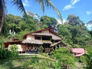 努基Lodge El Amargal - Reserva Natural, Ecoturismo & Surf的丛林中树木繁茂的房子