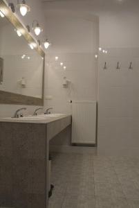 华沙洛斯卡11号旅舍的一间带水槽和镜子的浴室