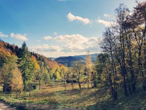 LeszczyniecKryjówka - Jurty ukryte wśród zieleni的秋天森林的景色