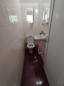 大特尔诺沃Mercury Guest House的一间带卫生间和水槽的小浴室