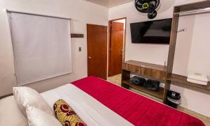 麦德林Hotel Boutique Estadio的一间卧室配有一张大床、一台电视和一张四柱床