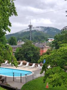 加特林堡小木屋旅馆的一组躺椅和一个游泳池