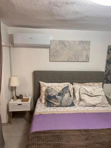 卡利亚里Casa Vacanze Manzoni 29的一间卧室配有一张大床和紫色毯子